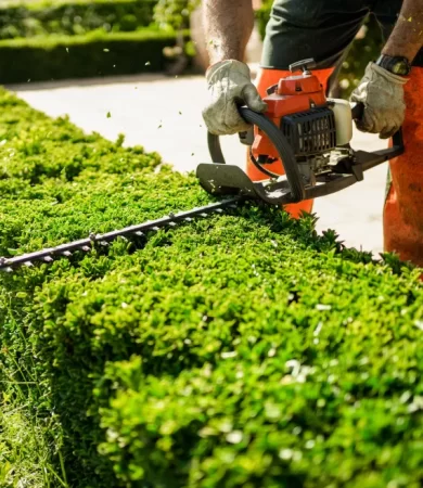 Hedge Trimming Sydney