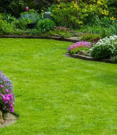 Garden Maintenance North Shore