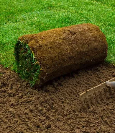 Turf Laying North Shore