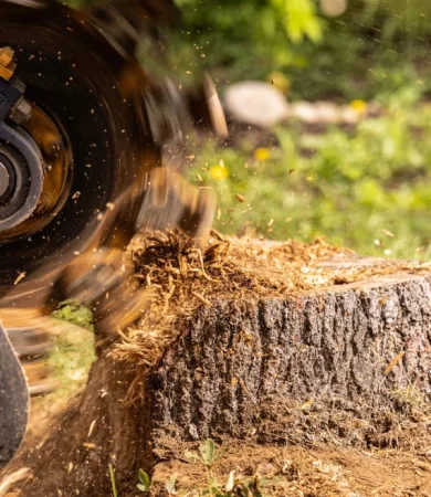 Stump Removal Sydney